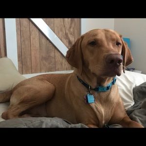 Meet your Posher, Leeann